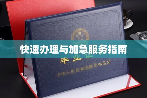 冈山快速办理与加急服务指南