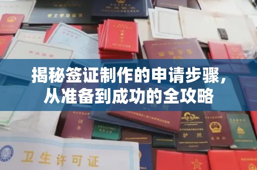 冈山揭秘签证制作的申请步骤，从准备到成功的全攻略